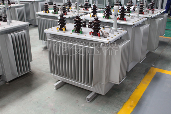 抚顺S22-100KVA/10KV/0.4KV变压器